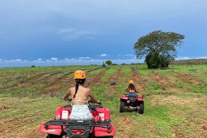 Jungle and beach ATV tour + lunch + tequila tasting - Value check: does $120 feel fair for 3 hours?
