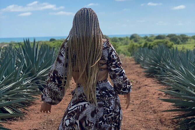 Jungle and beach ATV tour + lunch + tequila tasting - Tips that make your day smoother