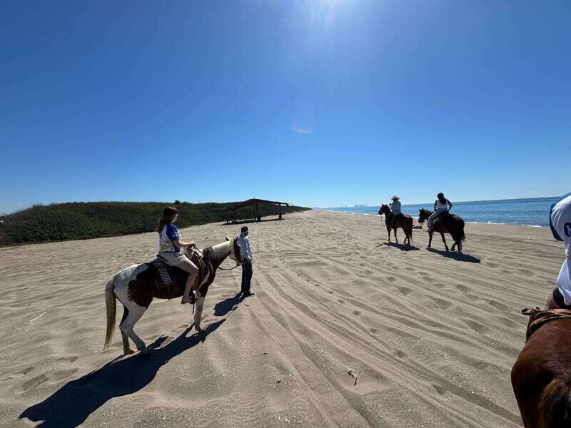Jungle and beach horseback ride + lunch + mezcal - Key things to know before you go