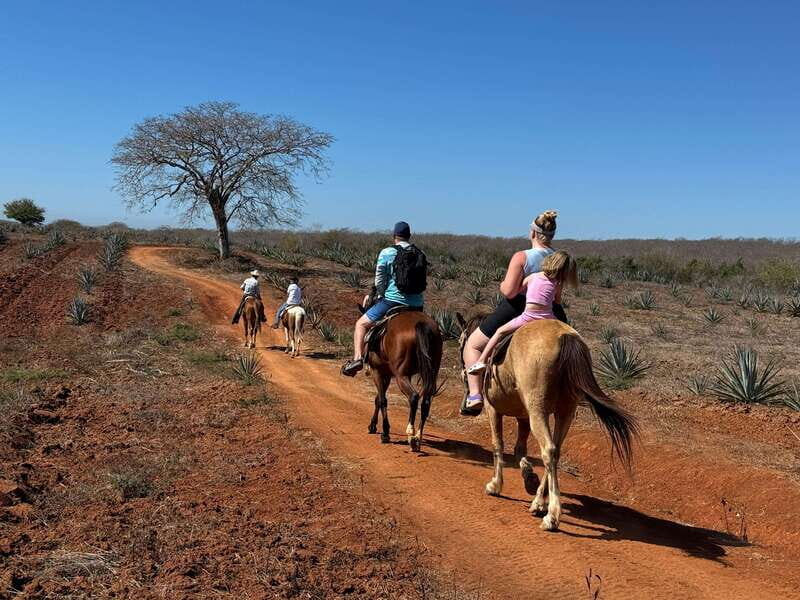 Jungle and beach horseback ride + lunch + mezcal - Who should book this (and who might not)