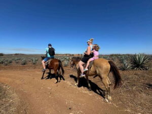 Jungle and beach horseback ride + lunch + mezcal - From hotel or cruise port to Mr. Lionso Ranch