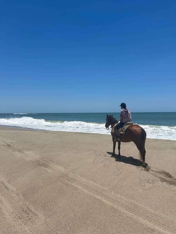 Jungle and beach horseback ride + lunch + mezcal - Mezcal factory tour: how the process leads to the flavors