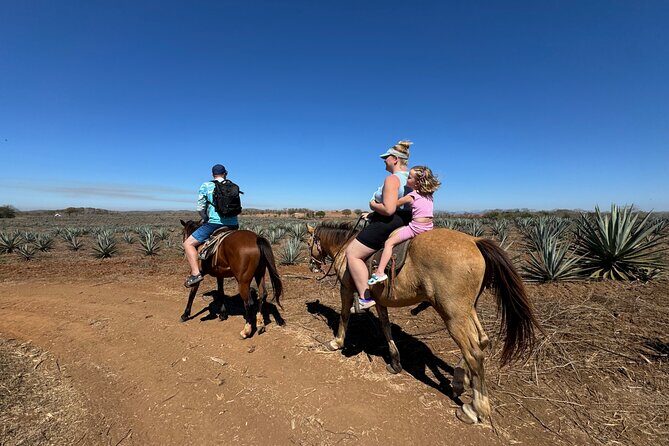 Jungle and Beach Horseback ride Tour in Pacific Coast - Key Highlights I’d Prioritize