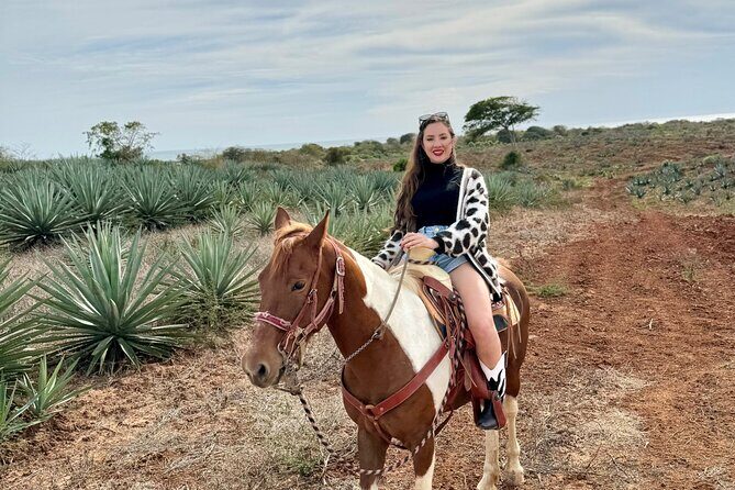Jungle and Beach Horseback ride Tour in Pacific Coast - Mazatlán Ranch Escape: What You Get in 3 Hours