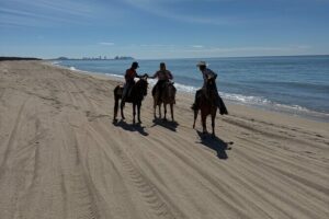 Jungle and Beach Horseback ride Tour in Pacific Coast - Pickup, Timing, and Getting to Mr. Lionso Ranch
