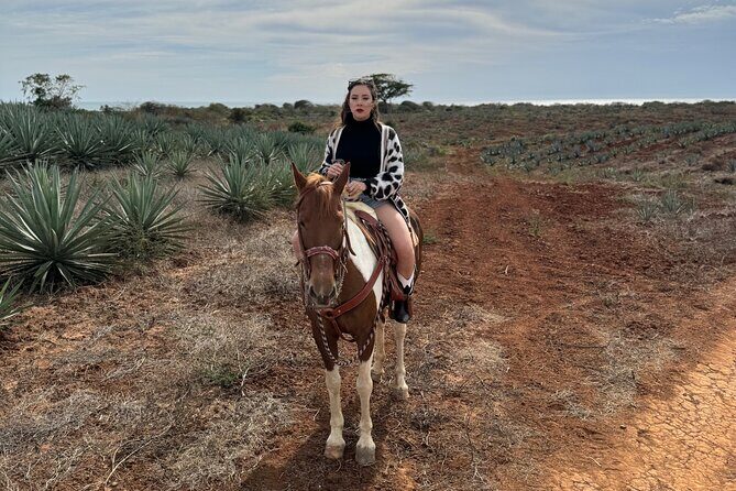 Jungle and Beach Horseback ride Tour in Pacific Coast - Mezcal Factory Tour and Tastings: What the Flavors Mean