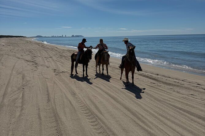 Jungle and Beach Horseback ride Tour in Pacific Coast - Pickup, Timing, and Getting to Mr. Lionso Ranch