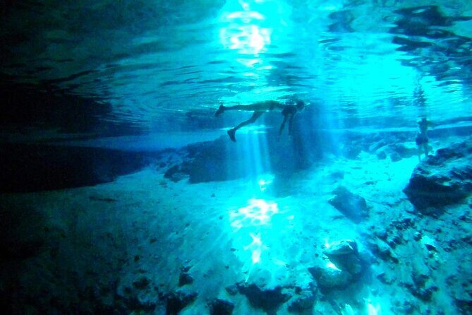 Jungle Bike Tour from Playa del Carmen with Bath in a Cenote - What Alex brings to the experience (and why that matters)