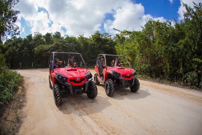 Jungle Buggy Tour from Playa del Carmen Including Cenote Swim - Key Things I’d Pin to Your Map Before You Go