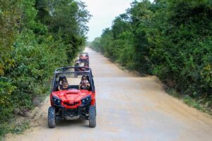 Jungle Buggy Tour from Playa del Carmen Including Cenote Swim - The Cenote Cave Swim: Natural Water, Snorkel Time, and a Real Reset