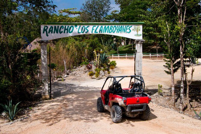Jungle Buggy Tour from Playa del Carmen Including Cenote Swim - What You Actually Get (and What You’ll Need to Bring)