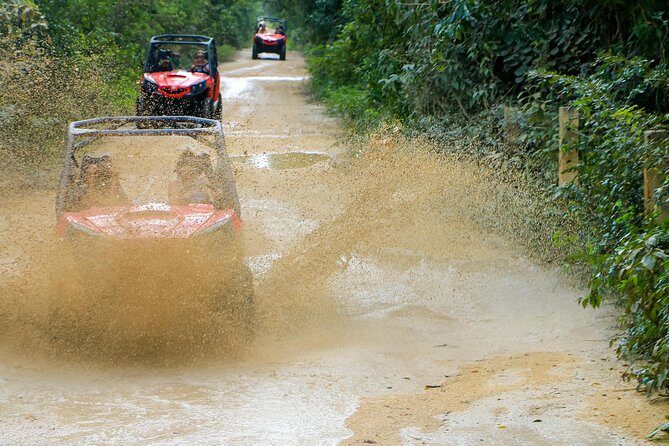Jungle Buggy Tour from Playa del Carmen Including Cenote Swim - Price and Value: Is $110.29 Worth It?