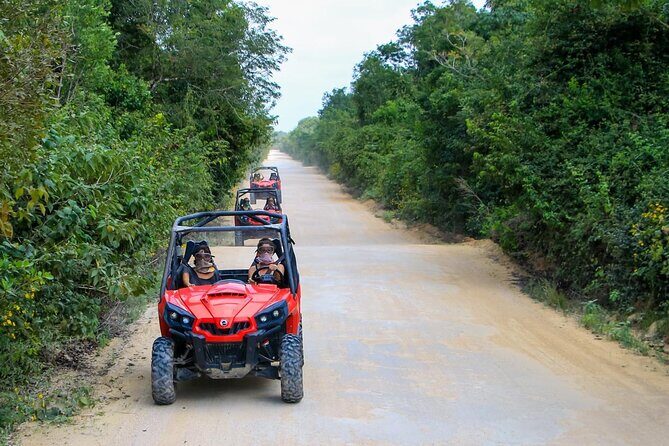 Jungle Buggy Tour from Playa del Carmen Including Cenote Swim - The Cenote Cave Swim: Natural Water, Snorkel Time, and a Real Reset