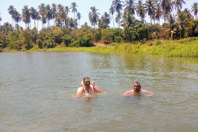 Jungle Coyuca Lagoon Boat Ride Experience & Baby Turtle Release - The Baby Turtle Release: What to Expect and How to Prepare