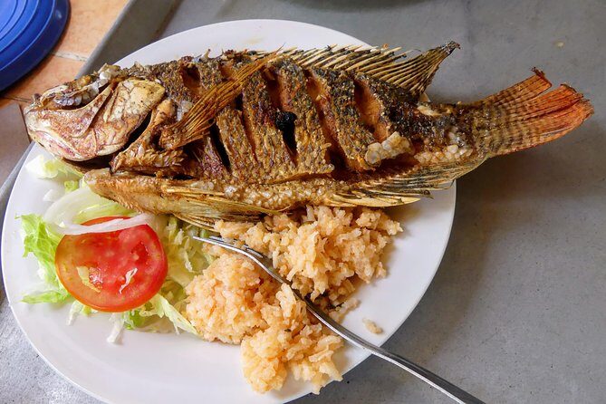 Jungle Coyuca Lagoon Boat Ride Experience & Baby Turtle Release - Price Check: Does $150.99 Make Sense?