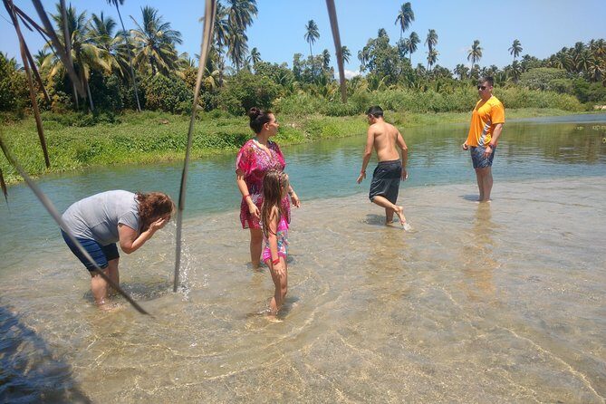 Jungle Coyuca Lagoon Boat Ride Experience & Baby Turtle Release - Stop 1: Laguna de Coyuca Boat Time and Wildlife Watching