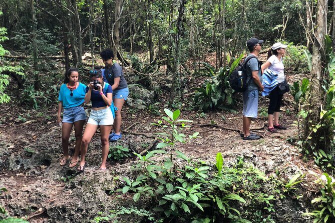 Jungle Jeep Adventure to Mayan Caves, Cenote and Snorkel - Parque Nacional Arrecifes de Cozumel: Snorkeling at Dzul Ha Reef