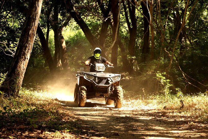 Jungle Single ATV Tour "El Mirador" - The ride itself: jungle plants, views, and trail surprises