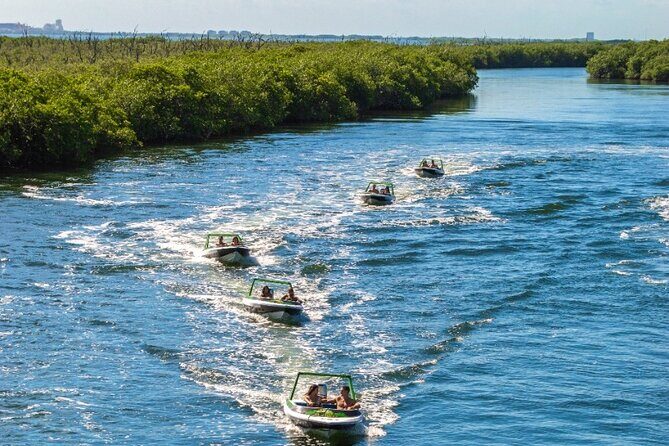 Jungle Tour adventure Cancun Speed Boat Through Mangrove - Price and Value: Is $59 a Good Deal Here?