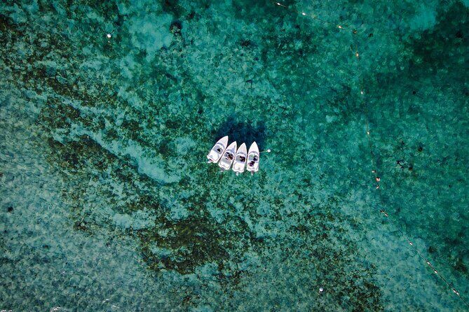 Jungle Tour & Snorkel at Punta Nizuc Reef , Underwater museum - Punta Nizuc Reef Snorkeling and MUSA-Style Statues