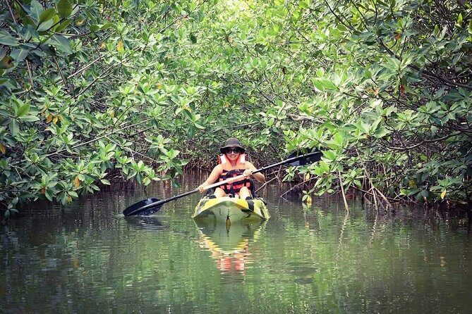 Kayak Adventure in Cancun - Timing matters: sunrise energy and what it changes