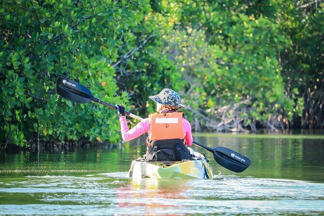 Kayak Adventure in Cancun - Where you start and how the trip flows