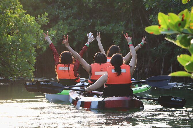 Kayak Adventure in Cancun - Price and value: $47.73 feels fair for the experience type
