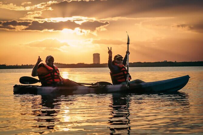 Kayak Adventure in Cancun - Entering Laguna Nichupté: what the mangroves are really like