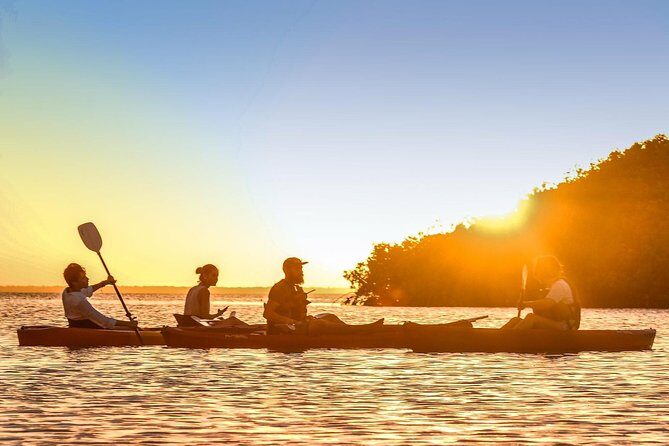 Kayak adventure through Laguna Nichupté in Cancun - The 3-Hour Route: Bird Tree, Mangrove Tunnels, and Mangrove-Reef Links