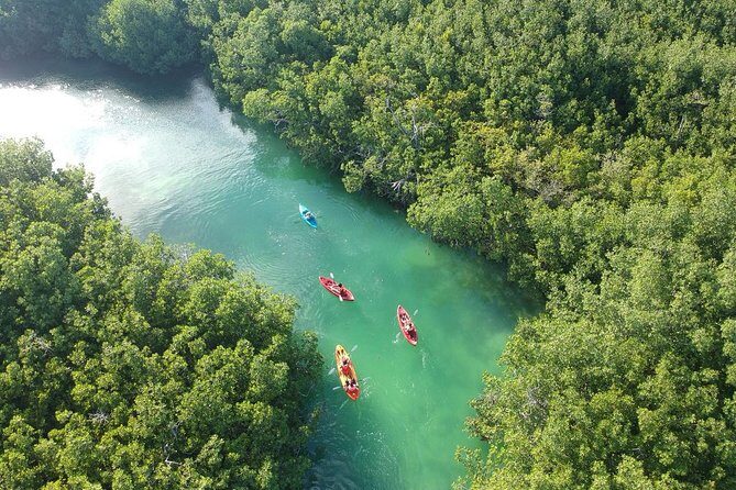 Kayak adventure through Laguna Nichupté in Cancun - Guide Style: Why Jorge and Christian Keep Coming Up