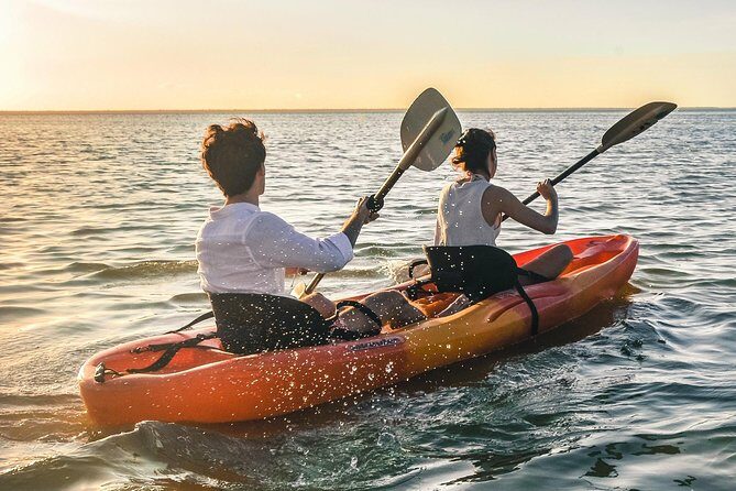 Kayak adventure through Laguna Nichupté in Cancun - So, Should You Book This Kayak Adventure?