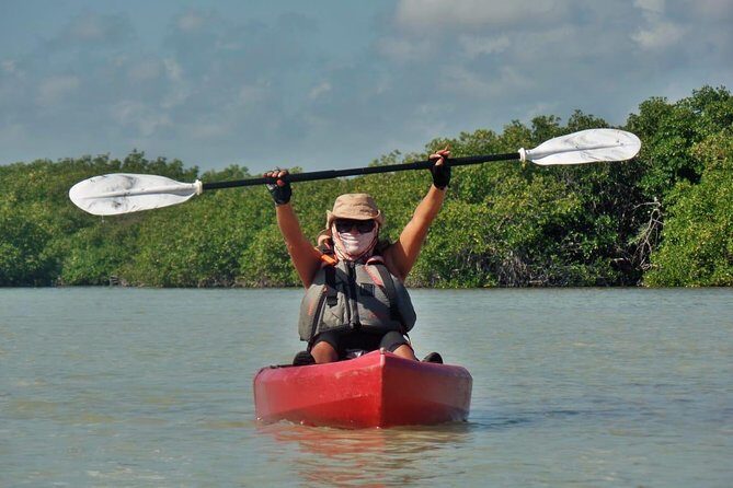 Kayak adventure through Laguna Nichupté in Cancun - What Wildlife You Should (and Shouldn’t) Chase Here