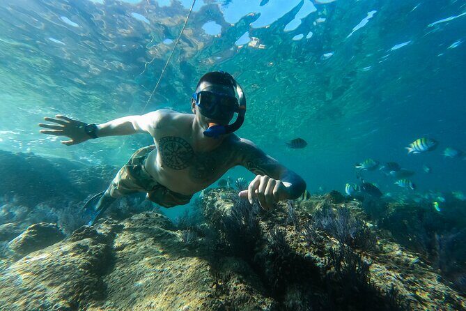 Kayak Expedition to the Arch of Cabo San Lucas, Lovers Beach & Snorkel - Pelican Rock Snorkeling: The Reef Stop That Makes the Trip Worth It
