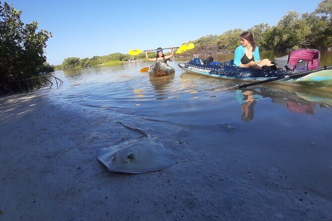 Kayak Experience in the Mangroves of Holbox Island - Price and value: what $56.75 buys you on Holbox