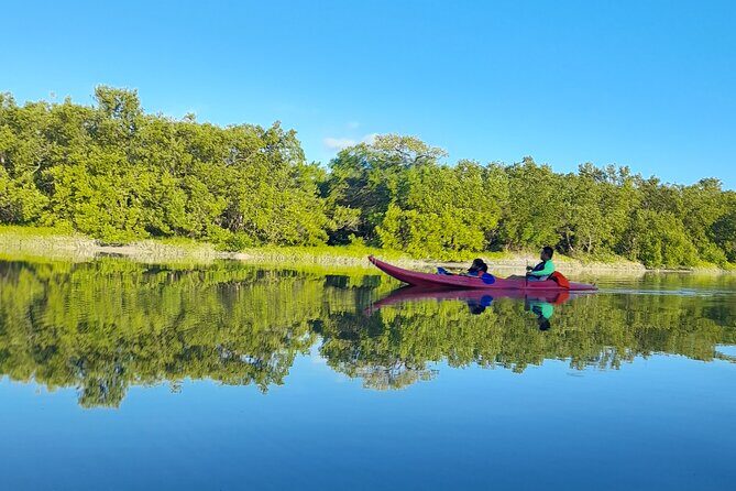 Kayak Experience in the Mangroves of Holbox Island - Step-by-step: how the tour flows from Punta Mosquito