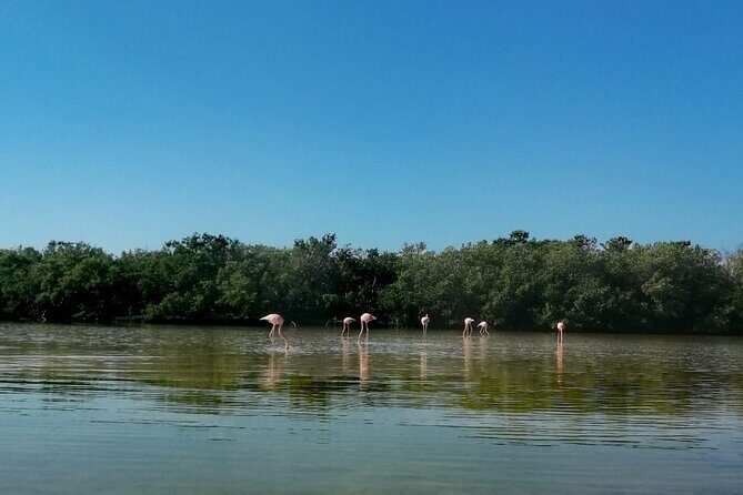 Kayak Experience in the Mangroves of Holbox Island - Equipment, lockers, and staying comfortable when you get soaked