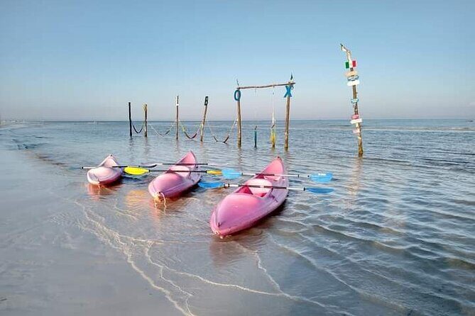 Kayak Experience in the Mangroves of Holbox Island - Guides on the water: what support feels like in practice