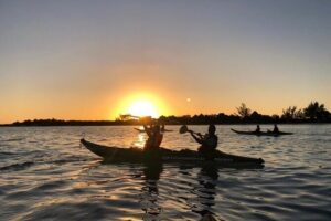 Kayak Mangroves Sunrise Experience - What the Kayaking Feels Like (And How to Expect It)
