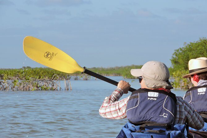 Kayak Sian Ka’an Biosphere Reserve Sunset Tour - Skill Level and Physical Effort: Who This Is For