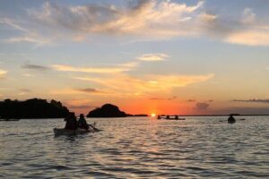 Kayak Sian Ka’an Experience - Sian Ka’an by Kayak: Mangroves, Shallow Water, and Real Wildlife Viewing