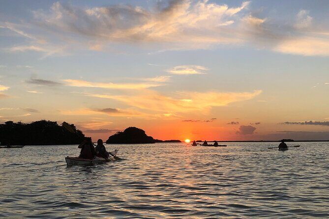 Kayak Sian Ka’an Experience - Sian Ka’an by Kayak: Mangroves, Shallow Water, and Real Wildlife Viewing
