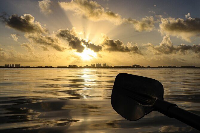 Kayak Tour at Sunset in Cancun - Value Check: Is $50.12 Worth It in Cancun?