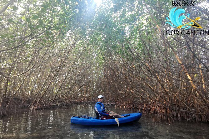 Kayak TOUR POR Laguna Nichupte Cancun - Mosquitoes, Spray, and the Gear Checklist That Saves the Day