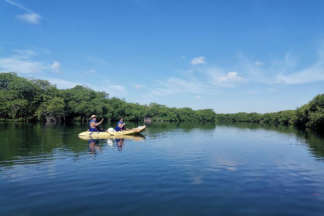 Kayak TOUR POR Laguna Nichupte Cancun - Finding the Meeting Point: The Part That Can Feel Tricky