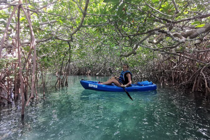 Kayak TOUR POR Laguna Nichupte Cancun - Should You Book This Kayak on Laguna Nichupte?