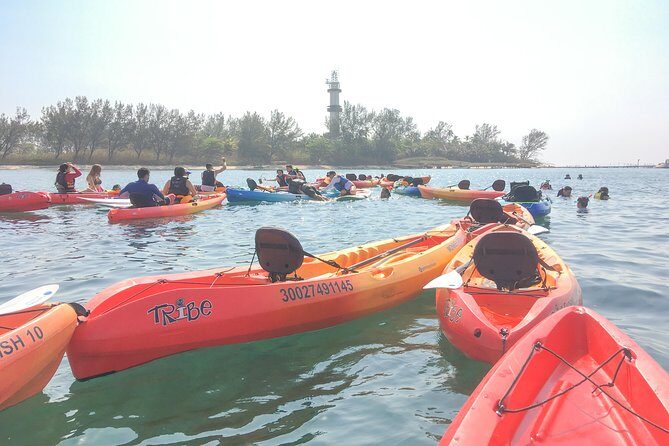 Kayaking on the Island of Sacrifices - Snorkeling at Veracruzano Reef Park: plan for it, stay flexible