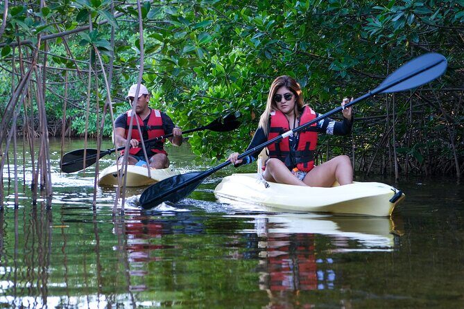 Kayaking Tour in Cancun - Nichupté Lagoon is the Cancun water to choose