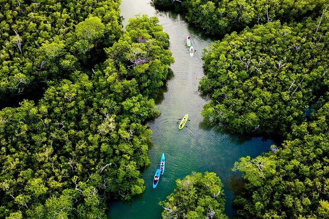 Kayaking Tour in Cancun - Guides and small-group attention you can feel