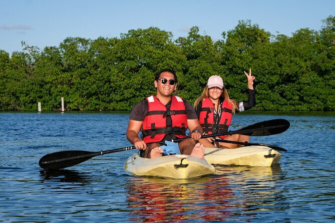 Kayaking Tour in Cancun - Meeting at Highlife Mexico: quick setup, then you’re off