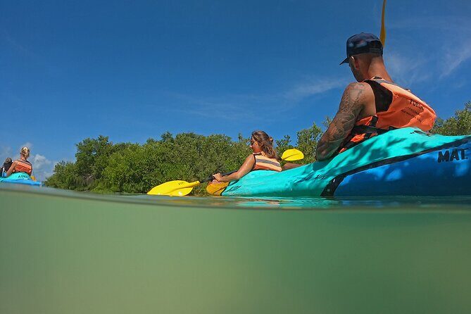 Kayaking Tour Through the Mangroves in Isla Holbox - Who should book this mangrove kayak, and who should skip it